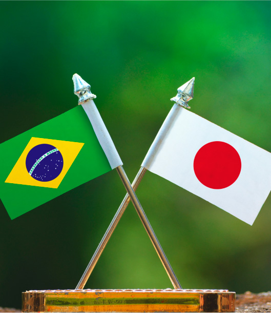 Bandeiras Brasil Japão